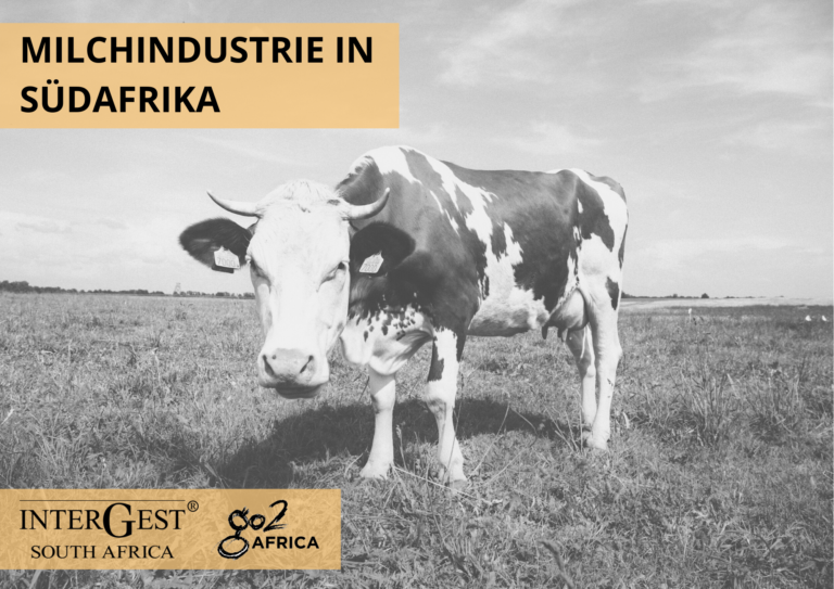 Milk Industry in RSA