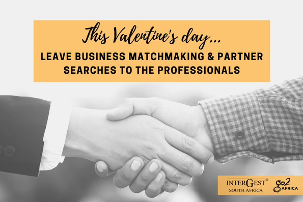 Business matchmaking and partner search
