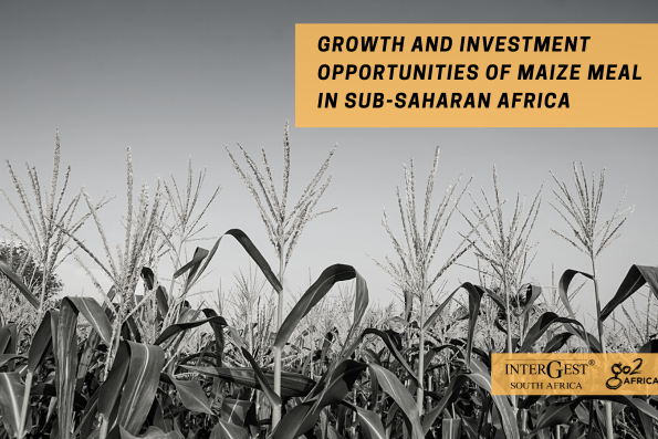 Growth and Investment opportunities of maize meal in Africa