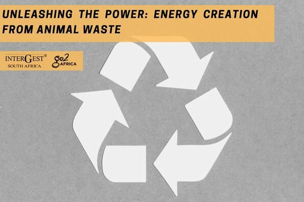 Unleashing the Power: Energy Creation from Animal Waste
