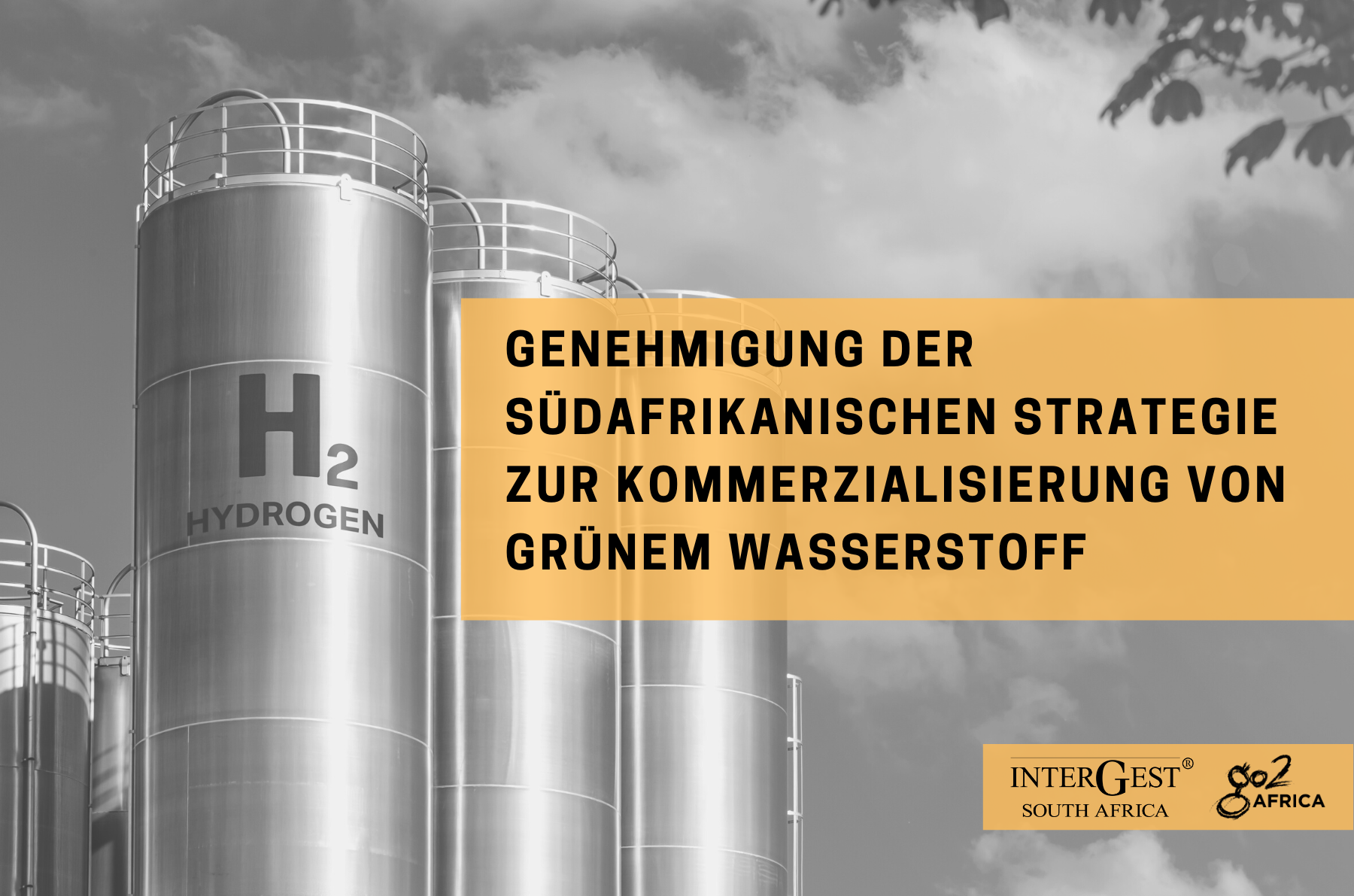 südafrikanische Strategie zur Kommerzialisierung von grünem Wasserstoff