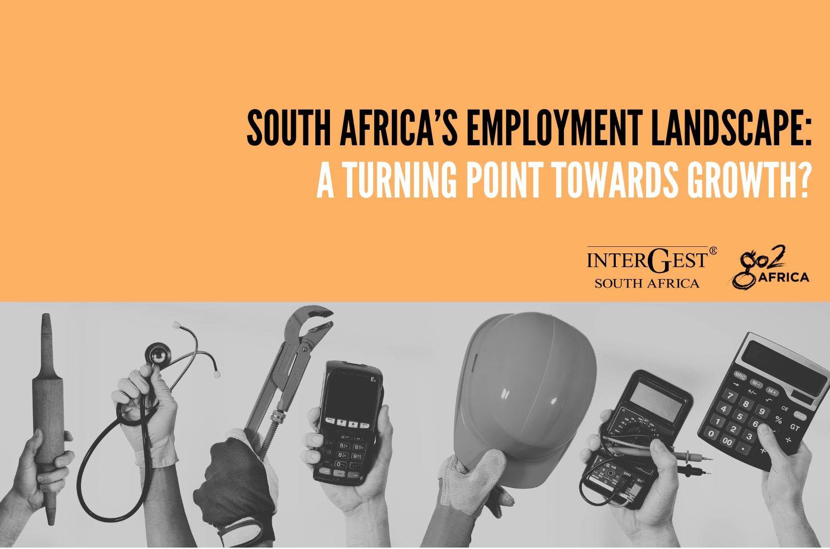 South Africa’s Employment Landscape South Africa’s Employment Landscape